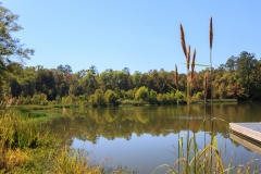 Alabama River