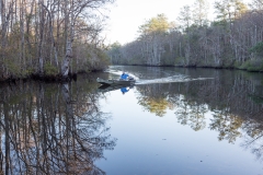 Mobile Tensaw River Delta