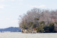 Wheeler Lake