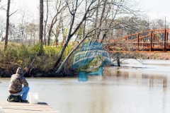 Neely Henry Lake