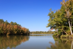 Alabama River