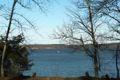 Wheeler Lake