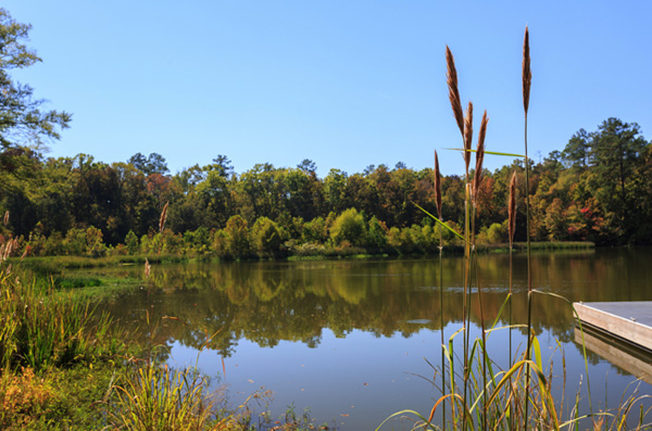 Alabama River