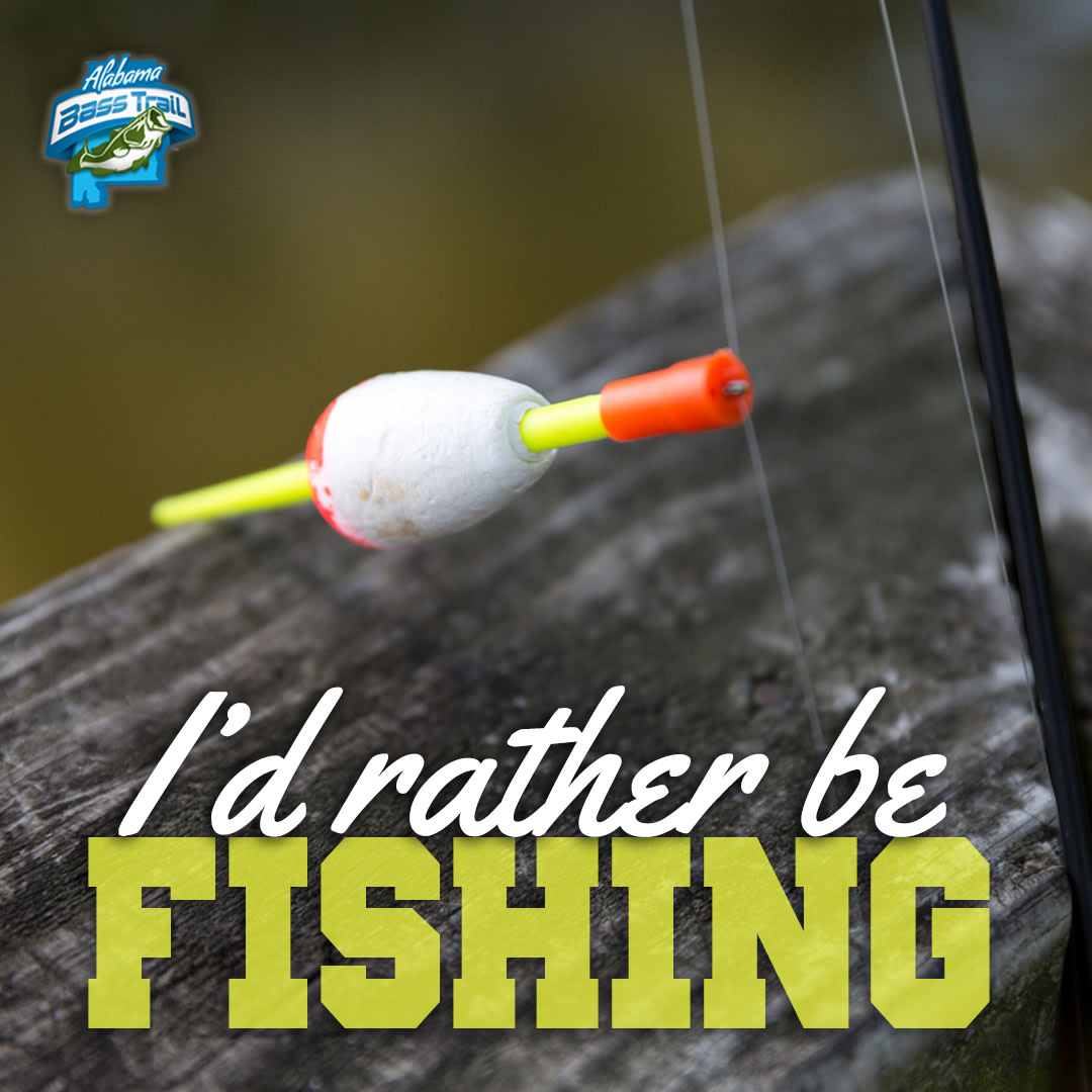 fishing lure