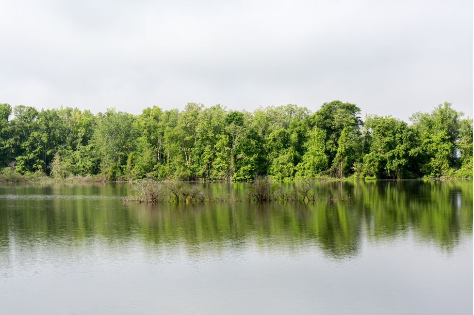 Joe Wheeler State Park